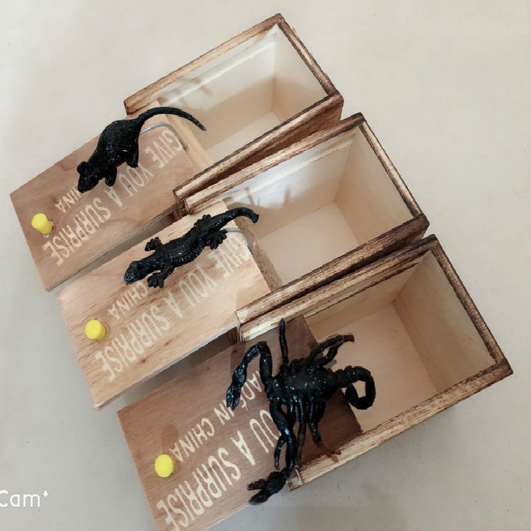 1146968799176.jpg Prank Spider Wooden Scare Box Trick Play Joke Lifelike Surprise April Fools' Day Funny Novelty Toys Gags Practical Gifts - Imagen 6