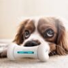 introducing the smart chew buddy the ultimate interactive toy for your furry friend!